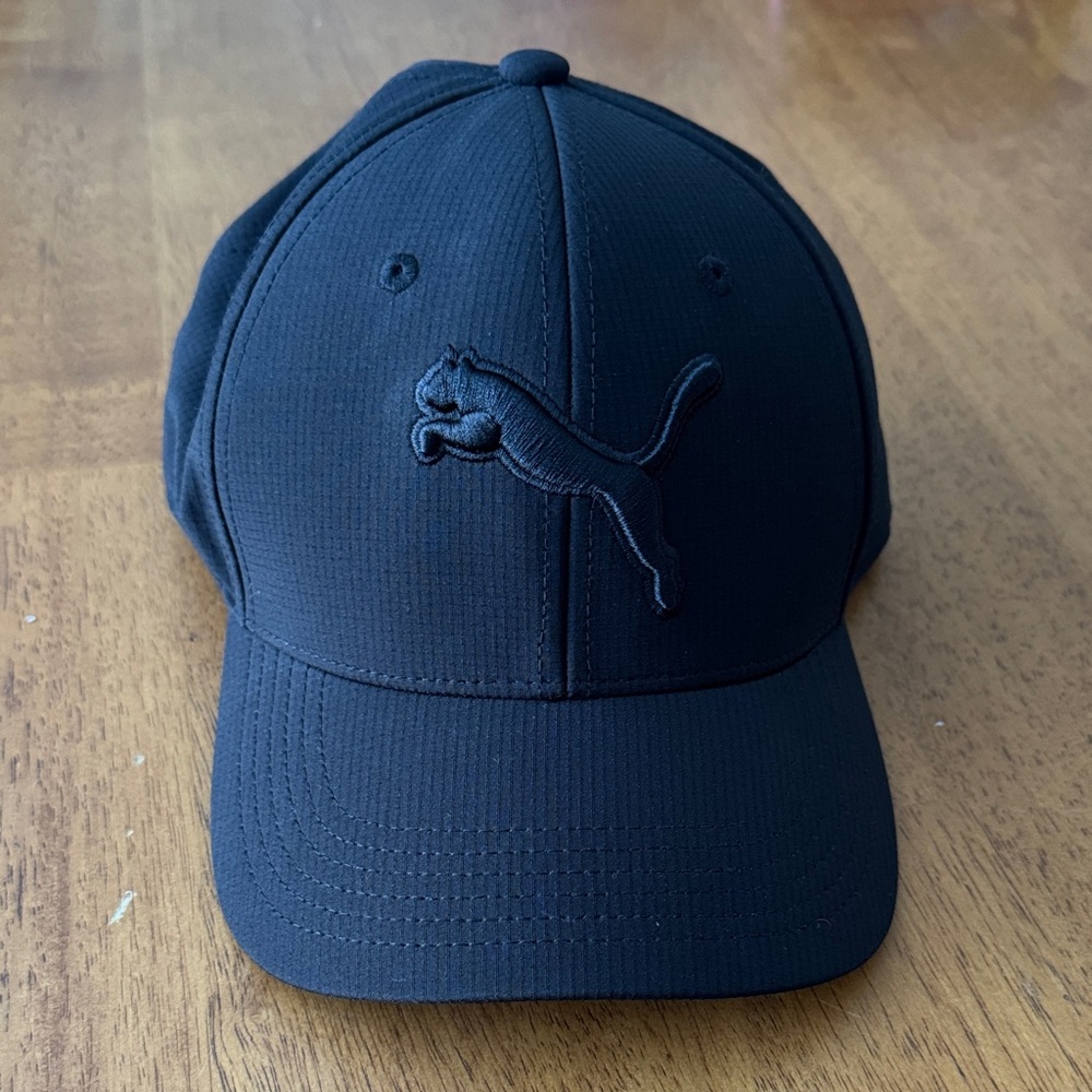 Puma Dark Baseball Cap